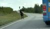 sommer200601.jpg