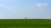 dsc5411r.jpg